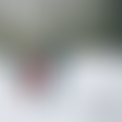 Family Day office closure