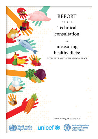 Report of the technical consultation on measuring healthy diets: concepts, methods and metrics