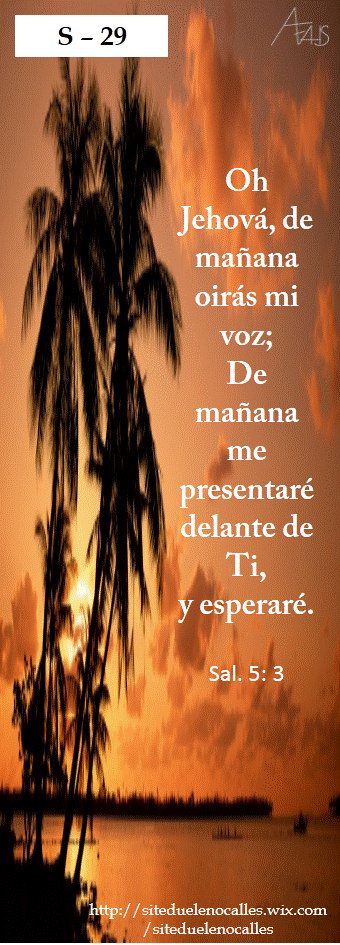 Diapositiva29