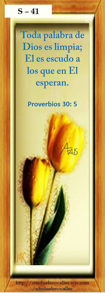 Diapositiva41