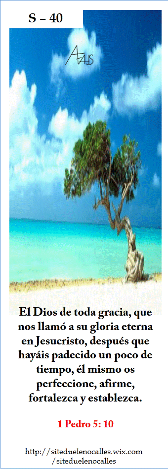 Diapositiva40