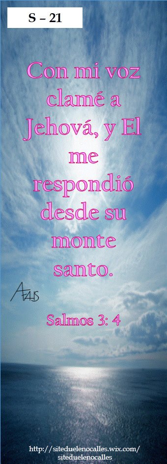 Diapositiva21