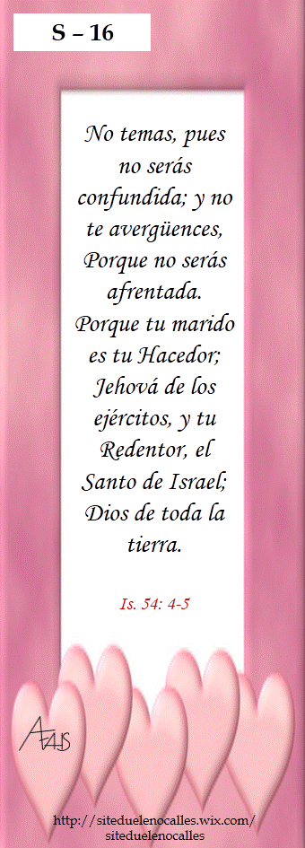 Diapositiva16