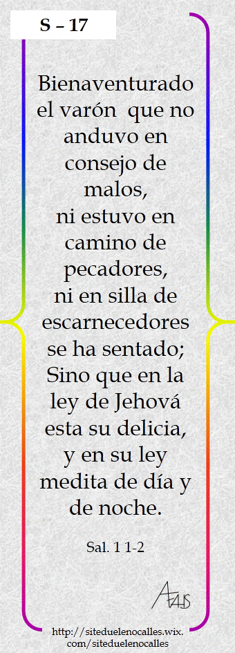 Diapositiva17