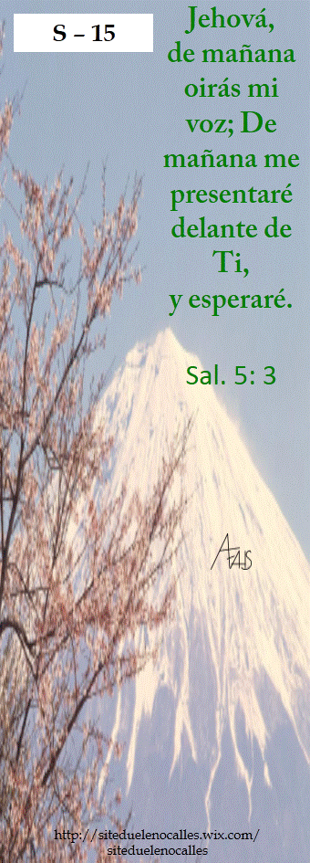 Diapositiva15