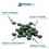 Thumbnail: ENERGYbits® Spirulina Tablets Small Bag