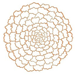 Marigold