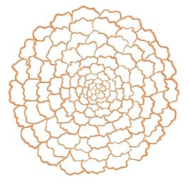 Marigold