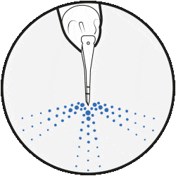 Dental cleaning Oakville