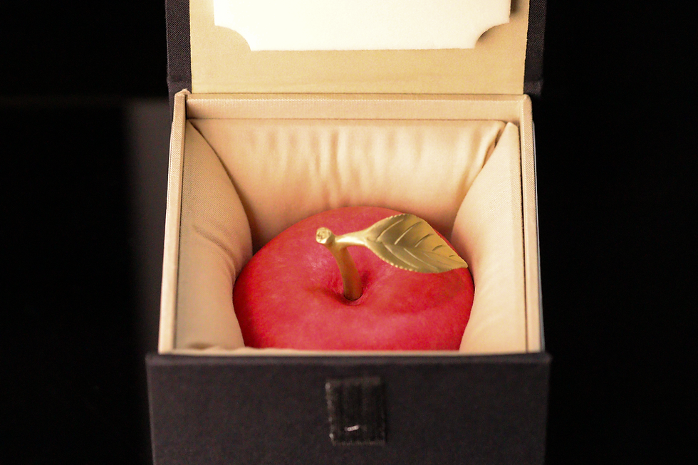 Miniatura: Apple Illusion 3D Copper medal 100 Francs CFA Cameroon 2025