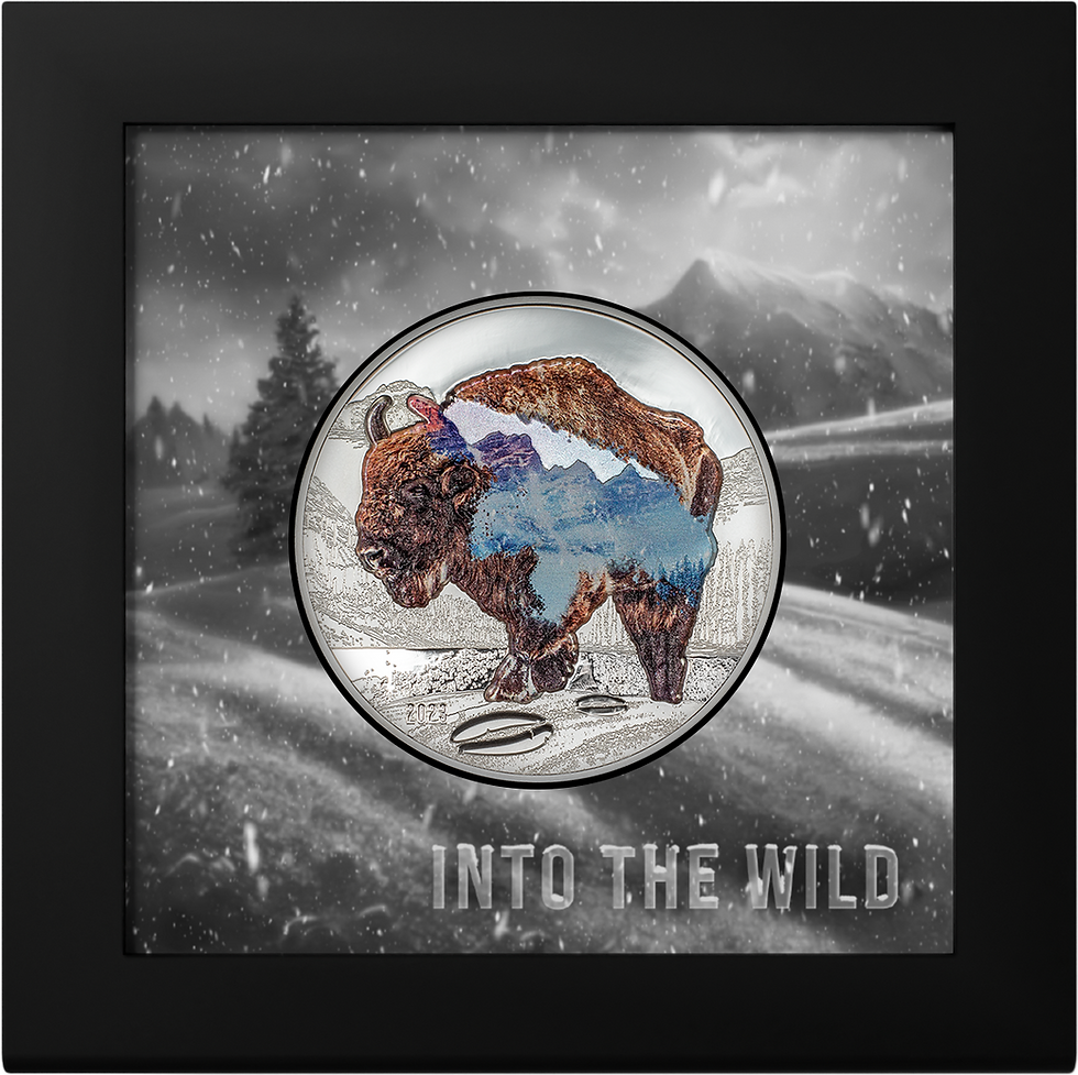 Miniatura: BISON Into The Wild 2 Oz Silver Coin 1000 Togrog Mongolia 2023