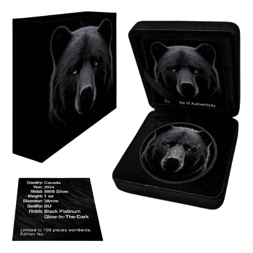 NGC PF69UCAM カナダ 2024年 北極熊 5＄ １/4oz 銀貨 2024 1 oz Canada Maple Leaf Polar Bear & Northern Lights