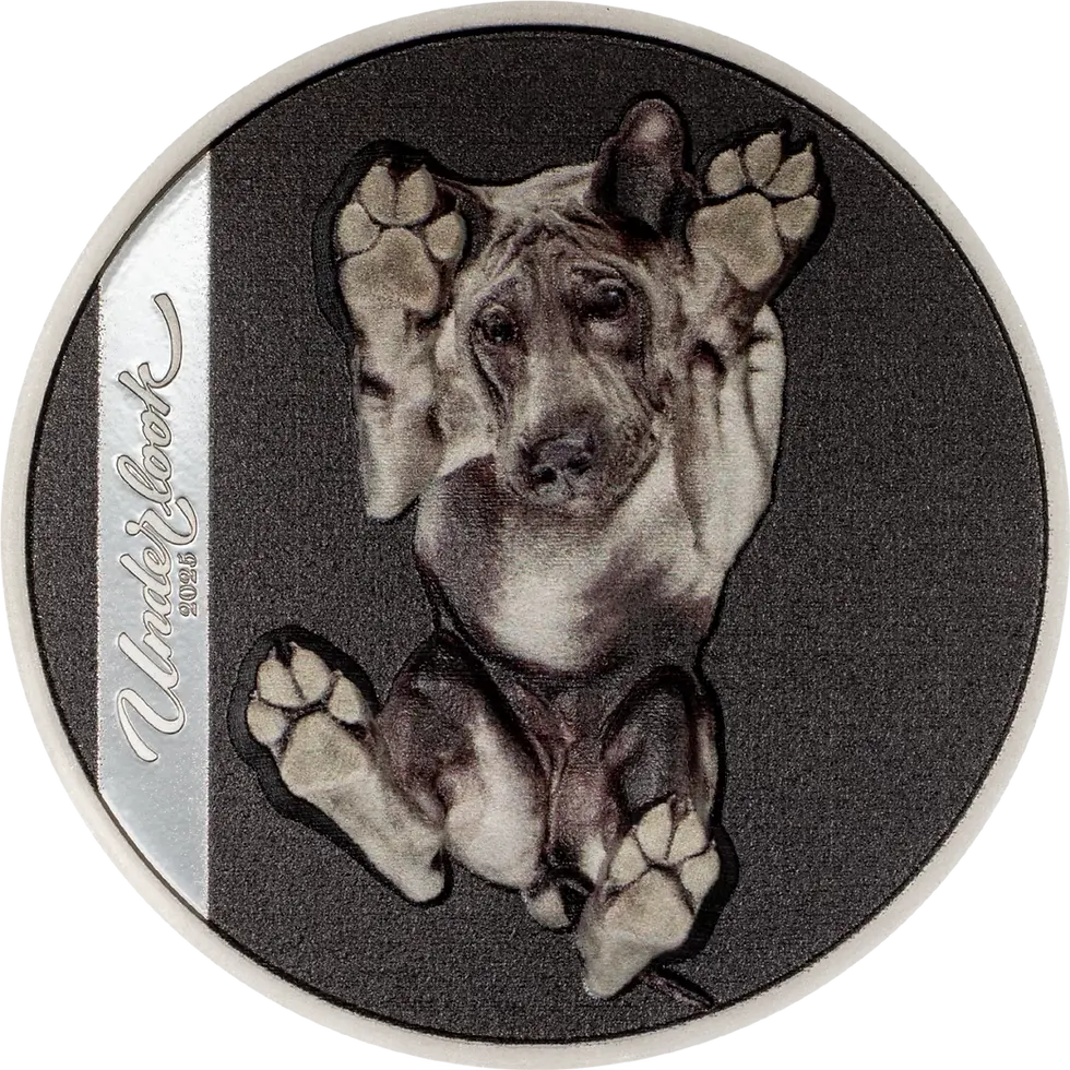 Miniatura: UNDER DOG Underlook 1 Oz Silver Coin 5$ Cook Islands 2025