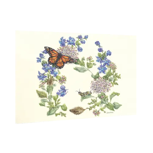 Miniaturbild: Murano Monarch Butterfly Half Kilo 999.9 Fine Silver Coin Canada 2025