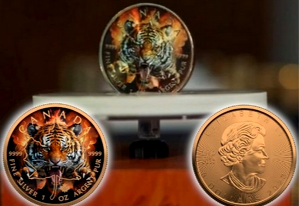 Thumbnail: Burning Tiger Rose Gold Edition 1 Oz 999.9 Silver Coin $5 Canada Maple Leaf 2023
