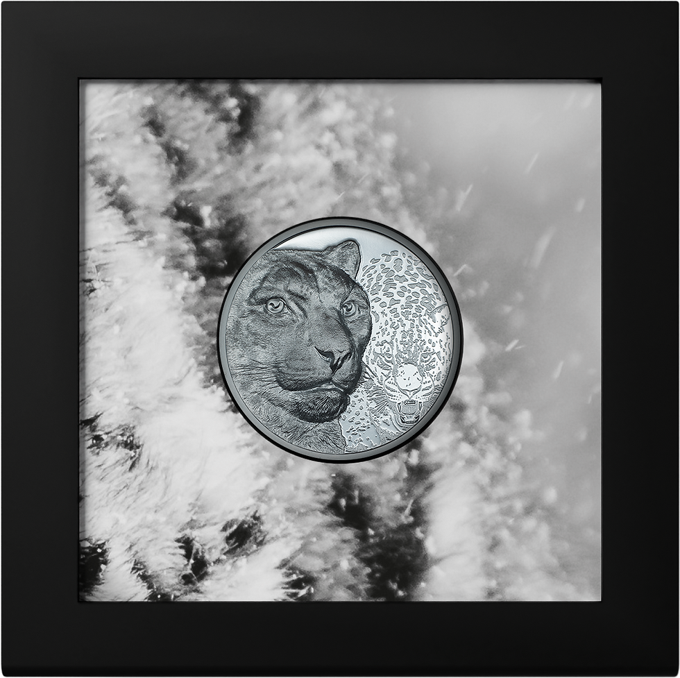 Thumbnail: SNOW LEOPARD Wild Mongolia 2Oz Black Proof Silver Coin 1000 Togrog Mongolia 2024
