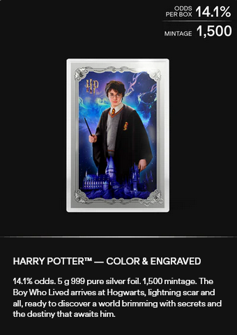 Thumbnail: HARRY POTTER - 25 Years of Magic Blind Box