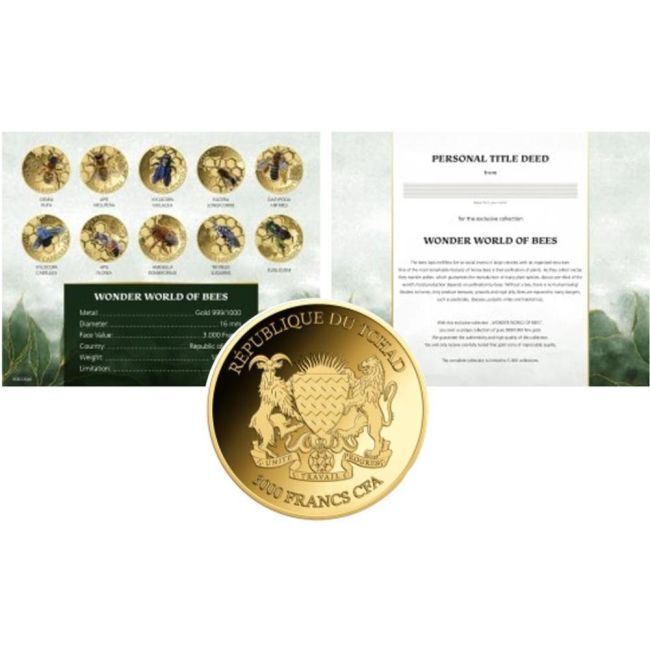 Miniatura: BEES Wonder World Set 10 Gold Coins 3000 Francs Chad 2024