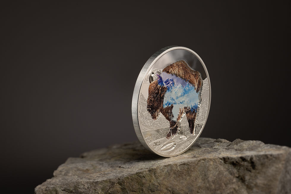 Miniatura: BISON Into The Wild 2 Oz Silver Coin 1000 Togrog Mongolia 2023