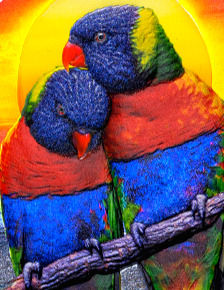 Miniature : RAINBOW LORIKEET Colourful Wildlife 1 Kg Kilo Silver Coin 25$ Barbados 2023