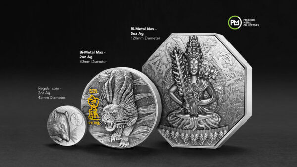 Miniatura: AKASAGARBHA - Eight Protectors 5 oz Silver Coin 20000 Francs Tchad 2020