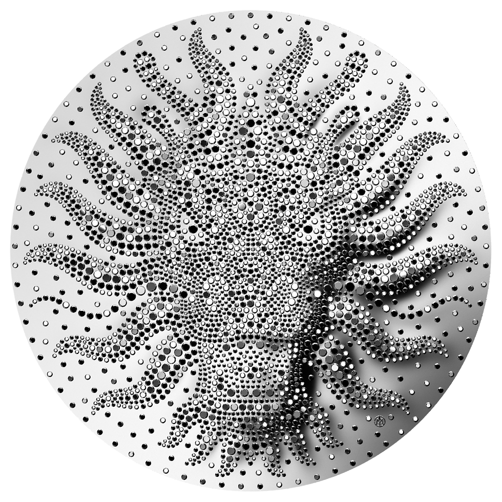 Miniatura: BLACK WATER DRAGON - 2 oz Silver coin - $5 Niue 2024