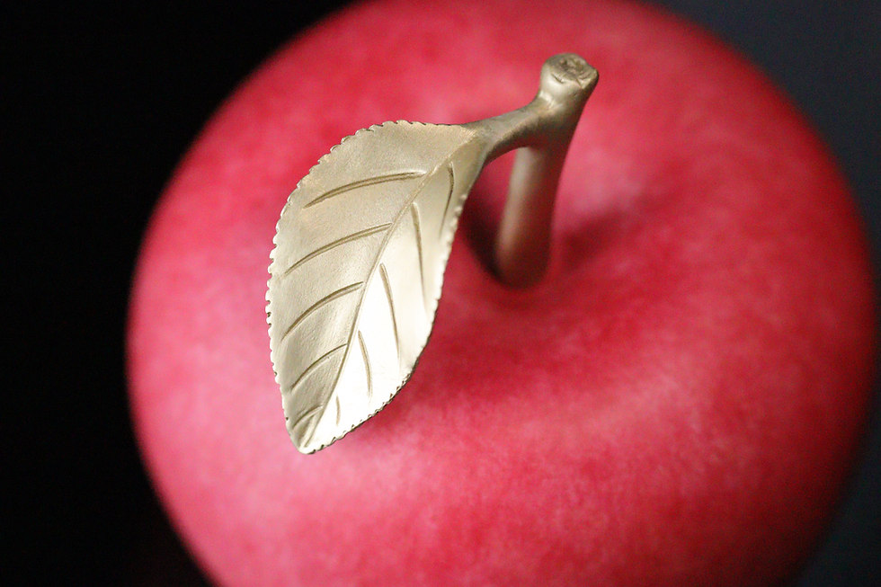 Miniatura: Apple Illusion 3D Copper medal 100 Francs CFA Cameroon 2025