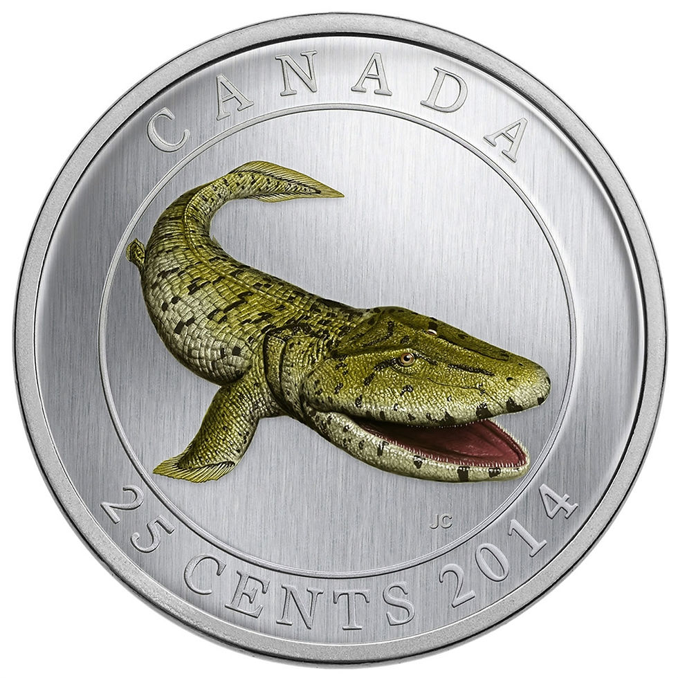 Miniatura: 2014 PREHISTORIC CREATURES: TIKTAALIK – 25-CENT COLOURED GLOW-IN-THE-DARK COIN