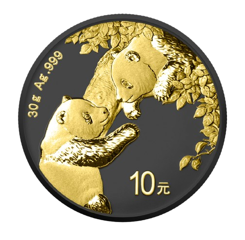 Miniatura: Panda Black Platinum & 24k Gold 30g .999 silver 10¥ China 2023