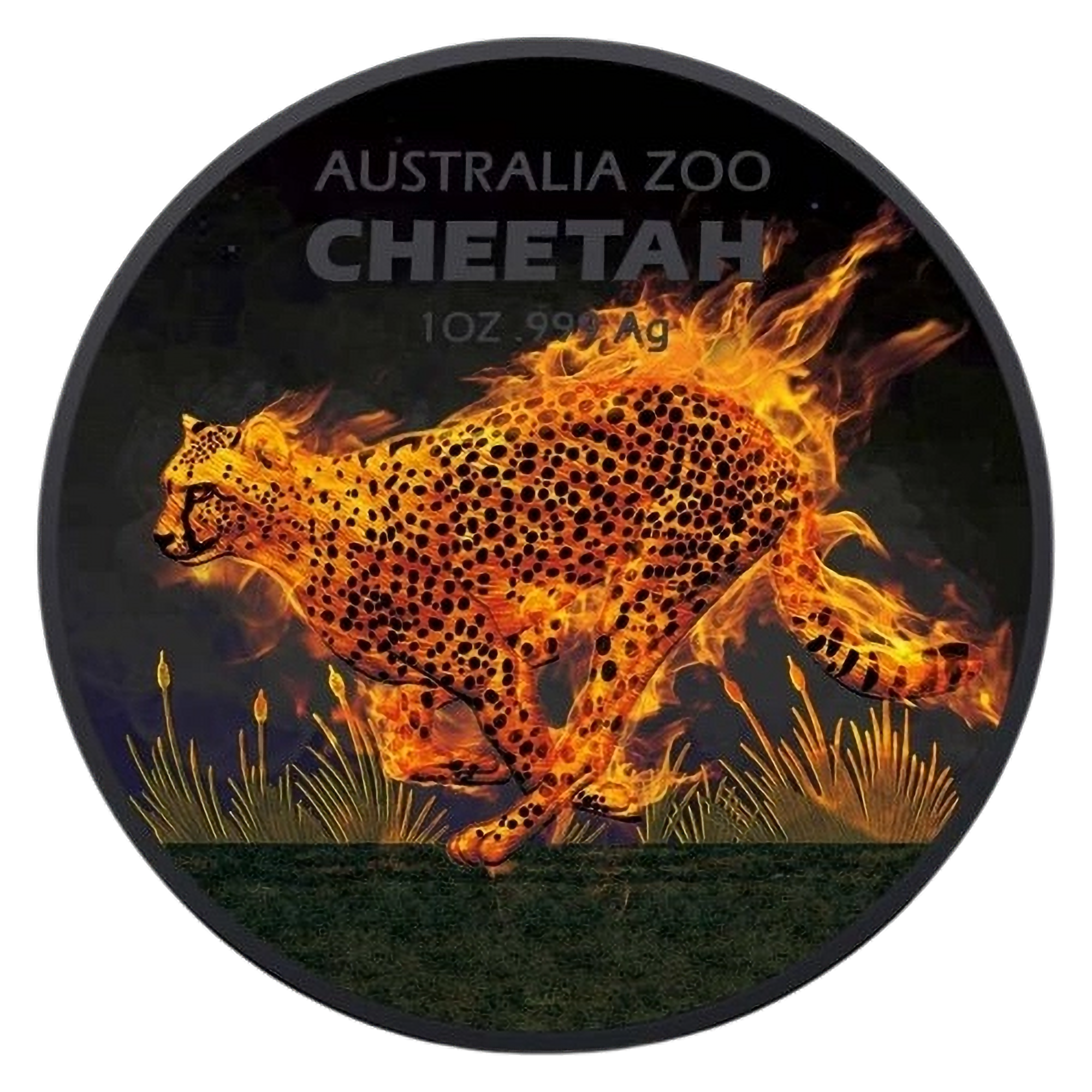 2021 1oz Australia Silver Zoo Burning Cheetah Black Platinum Coin