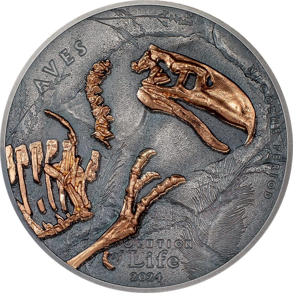 Miniatura: AVES Evolution of Life 1 Oz Silver Coin 500 Togrog Mongolia 2024