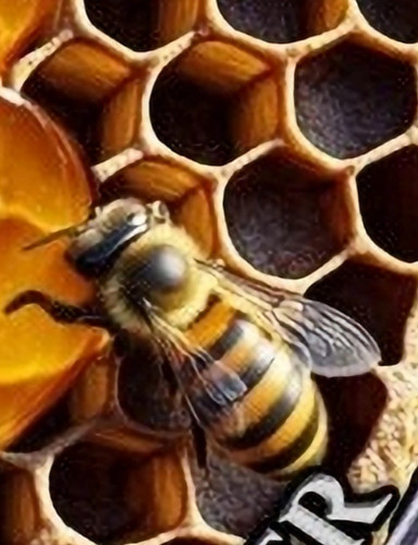【高騰中】HONEY BEE 2ozSilverCoin5$Niue2021銀貨 australian-honey-bee-200th-