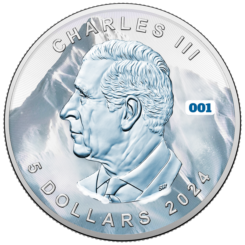 Thumbnail: Natural Disasters #1 Avalanche Maple Leaf 1 Oz 999.9 Silver Coin 5$ Canada 2024