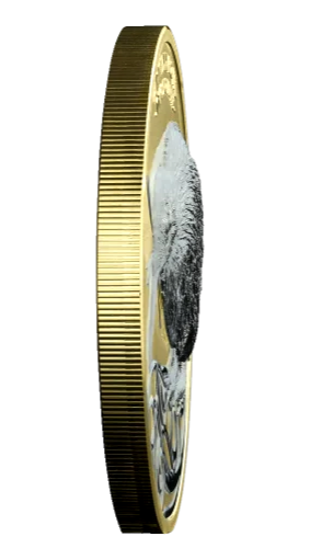 Thumbnail: KIWI HR Gold Ruthenium Edition 2 Oz Silver Coin 2$ New Zealand 2020