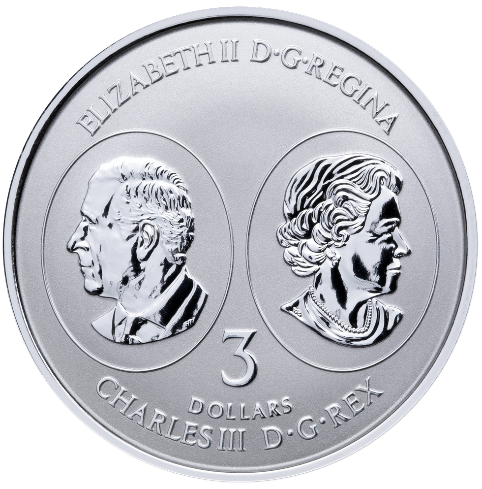 Miniatura: SILVER MAPLE LEAF SET 999.9 Silver Coin Canada 2026