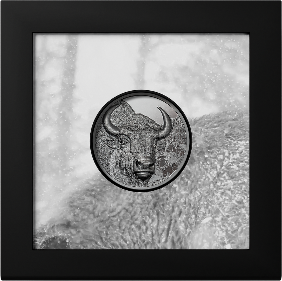 Miniaturbild: BISON Wild Mongolia 2 Oz Black Proof Silver Coin 1000 Togrog Mongolia 2025