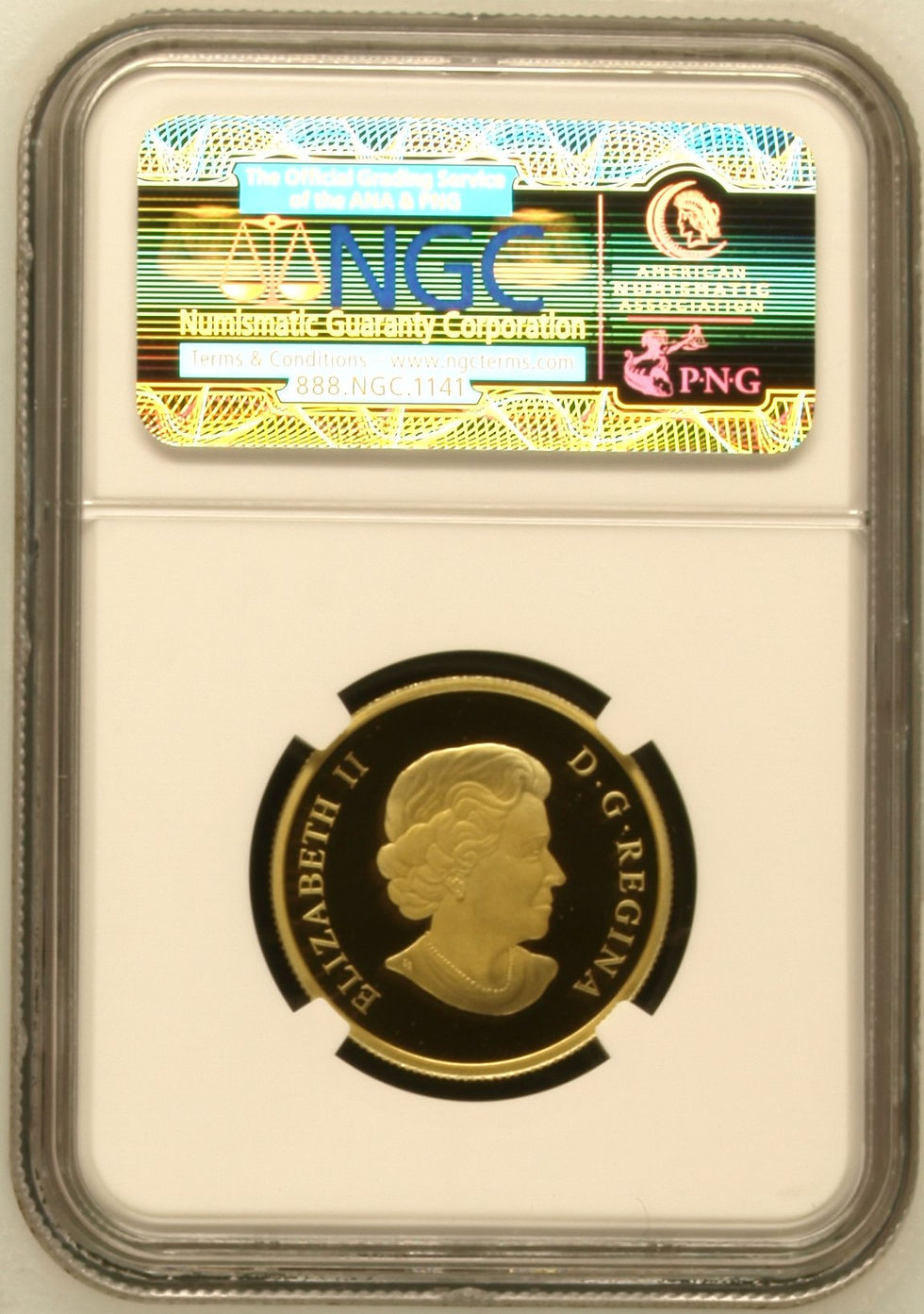 Miniatura: Rare NGC Error coin 2010 $75 14k Gold Coin: Winter Maple Leaf