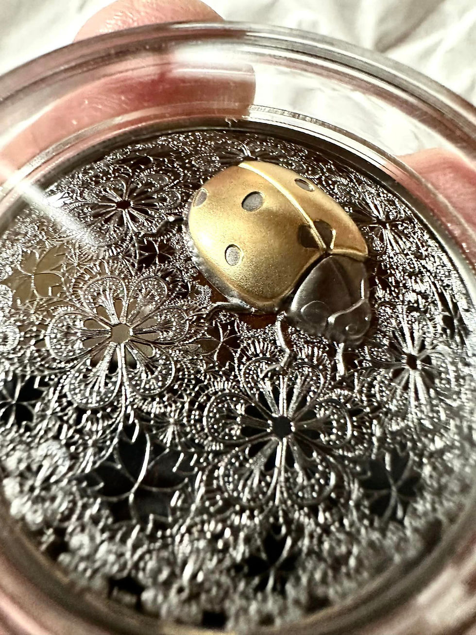 Miniatura: ENTOMA LADYBIRD 2 oz 999.9 Dark Ruthenium Glided $25 Liberia 2024