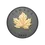 Miniatura: Gilded Elegant Maple 1 Oz .999 Fine Silver Coin 20$ Canada 2025