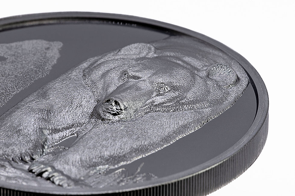 Miniatura: BROWN BEAR Growing Up 2 Oz High Relief Silver Coin Mongolia 2023