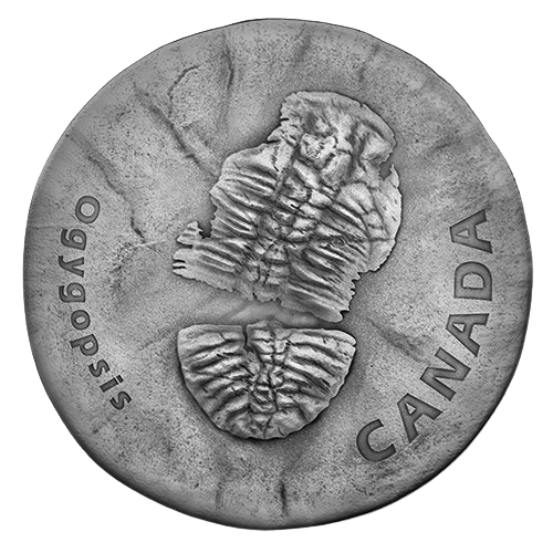 OGYGOPSIS – ANCIENT CANADA – 2017 $20 1 oz Fine Silver Antique Finish Coin