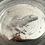 Miniaturbild: GECKO Numiversum 2 oz Proof 999.9 Silver Ultra-High Relief Cameroon 2023
