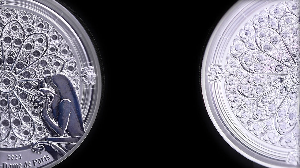 Miniatura: NOTRE DAME 3 Oz .999 High Relief Silver Coin 200 Francs Djibouti 2024