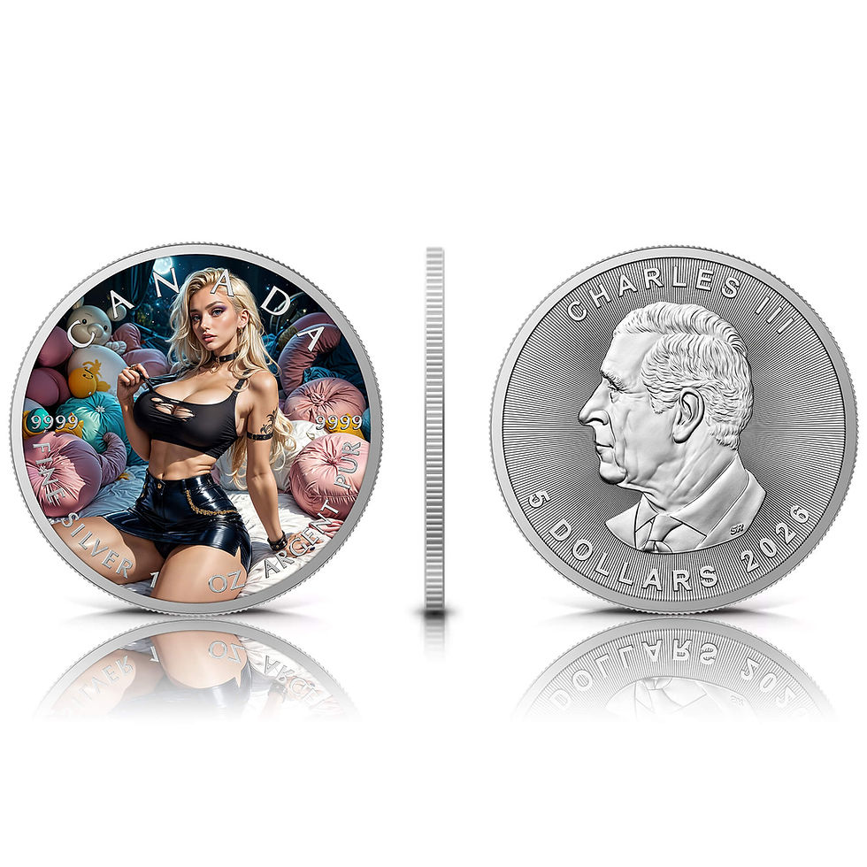 Miniatura: Pillow Fight - 1 oz 999.9 Silver Coin 5$ Canada 2026