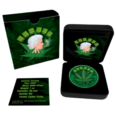 Melon2451 PUMA x LAMELO BALL x TMNT MB.04 Leonardo & Michelangelo