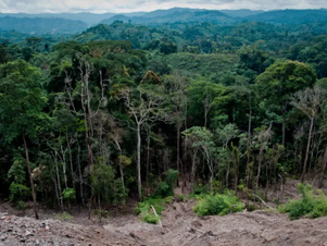 Striding Towards Sustainability: Fashion’s Impact on Climate Change and How You Can Make a Difference.