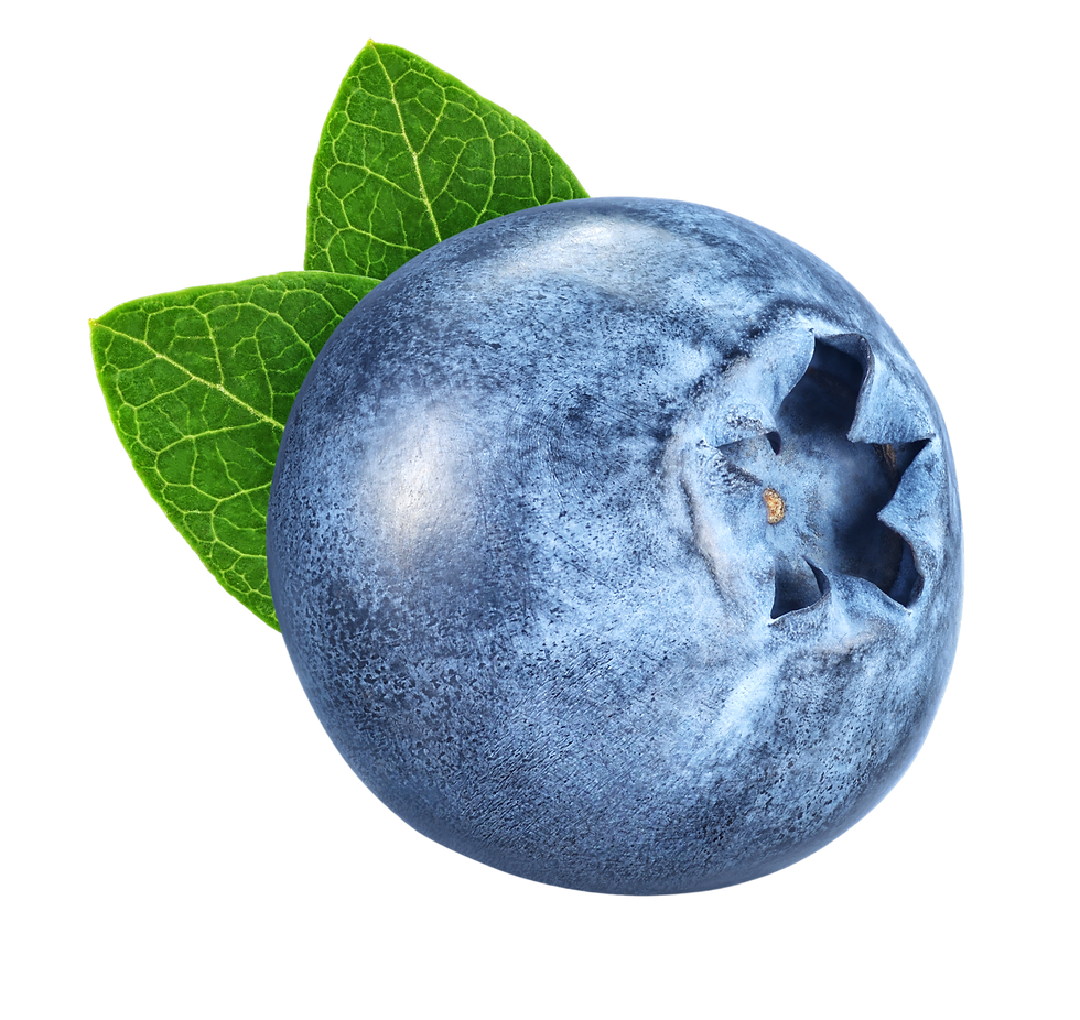 blueberry-with-leaves-isolated-on-white-background-2025-02-14-05-04-19-utc.png