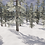Thumbnail: 3D Snow Environment