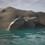 Thumbnail: 3D Boulder