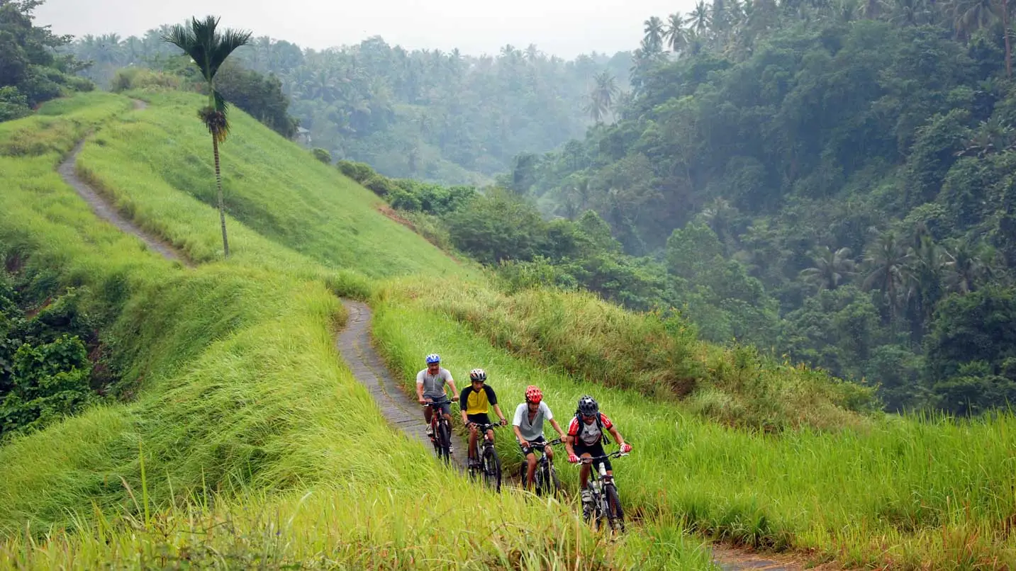Mountain Biking Ubud.webp